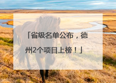 省级名单公布，德州2个项目上榜！