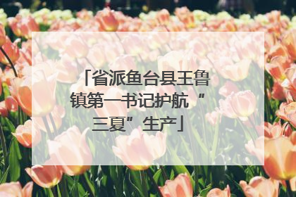 省派鱼台县王鲁镇第一书记护航“三夏”生产