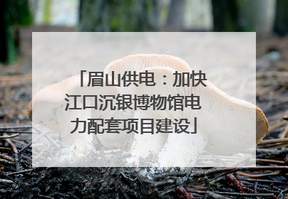 眉山供电：加快江口沉银博物馆电力配套项目建设