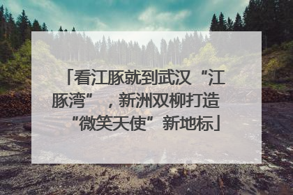 看江豚就到武汉“江豚湾”，新洲双柳打造“微笑天使”新地标