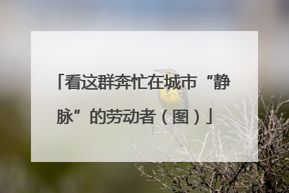 看这群奔忙在城市“静脉”的劳动者（图）