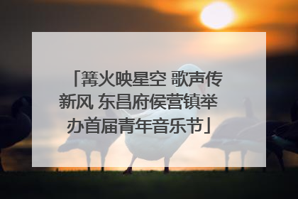 篝火映星空 歌声传新风 东昌府侯营镇举办首届青年音乐节