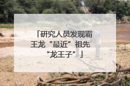 研究人员发现霸王龙“最近”祖先“龙王子”