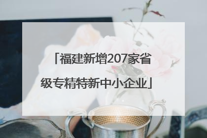福建新增207家省级专精特新中小企业