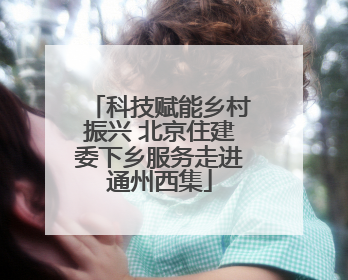 科技赋能乡村振兴 北京住建委下乡服务走进通州西集