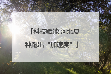 科技赋能 河北夏种跑出“加速度”