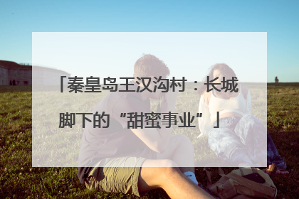 秦皇岛王汉沟村：长城脚下的“甜蜜事业”