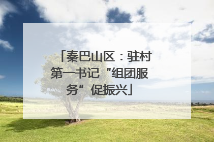 秦巴山区：驻村第一书记“组团服务”促振兴