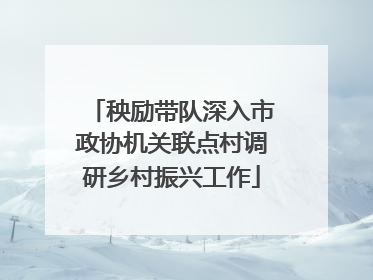 秧励带队深入市政协机关联点村调研乡村振兴工作