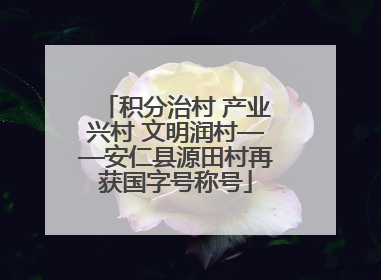 积分治村 产业兴村 文明润村——安仁县源田村再获国字号称号