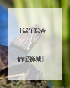 端午粽香 情暖狮城