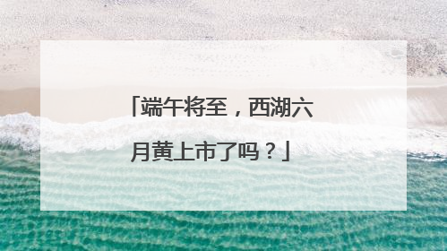 端午将至，西湖六月黄上市了吗？