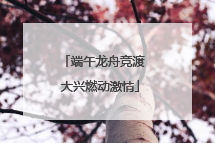 端午龙舟竞渡 大兴燃动激情