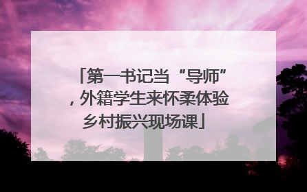 第一书记当“导师”，外籍学生来怀柔体验乡村振兴现场课