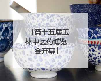 第十五届玉林中医药博览会开幕