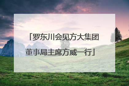 罗东川会见方大集团董事局主席方威一行