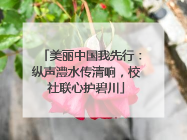 美丽中国我先行：纵声澧水传清响，校社联心护碧川