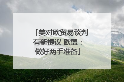美对欧贸易谈判有新提议 欧盟：做好两手准备