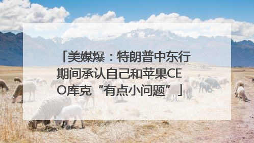 美媒爆：特朗普中东行期间承认自己和苹果CEO库克“有点小问题”