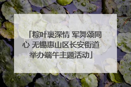 粽叶裹深情 军舞颂同心 无锡惠山区长安街道举办端午主题活动