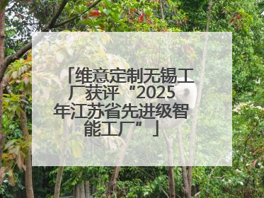 维意定制无锡工厂获评“2025年江苏省先进级智能工厂”