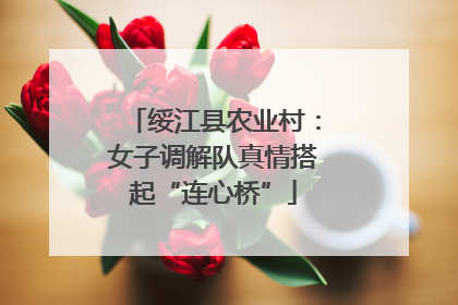 绥江县农业村：女子调解队真情搭起“连心桥”