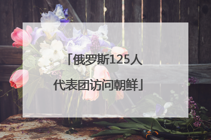 俄罗斯125人代表团访问朝鲜