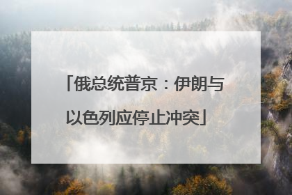 俄总统普京：伊朗与以色列应停止冲突