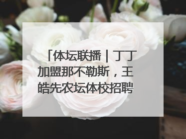 体坛联播｜丁丁加盟那不勒斯，王皓先农坛体校招聘笔试第一