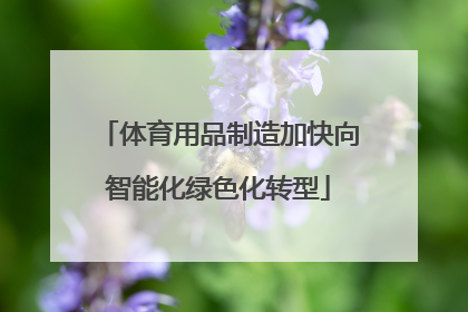 体育用品制造加快向智能化绿色化转型