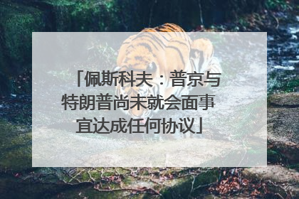 佩斯科夫：普京与特朗普尚未就会面事宜达成任何协议