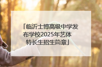 临沂士博高级中学发布学校2025年艺体特长生招生简章