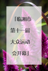 临湘市第十一届大众运动会开幕