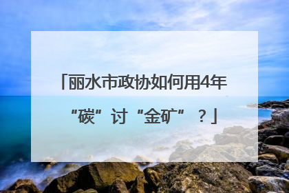丽水市政协如何用4年“碳”讨“金矿”？