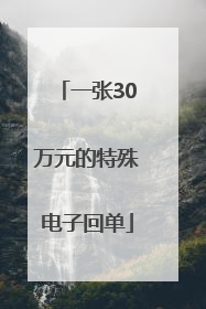 一张30万元的特殊电子回单