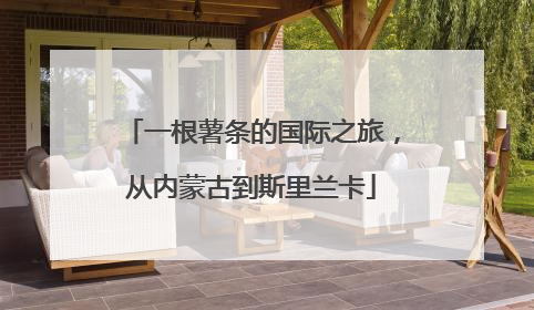 一根薯条的国际之旅，从内蒙古到斯里兰卡