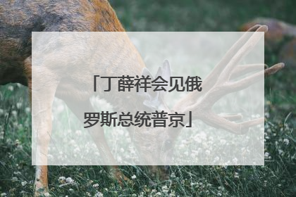 丁薛祥会见俄罗斯总统普京