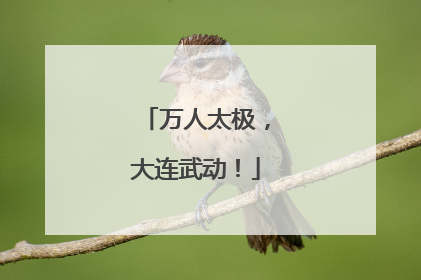 万人太极，大连武动！