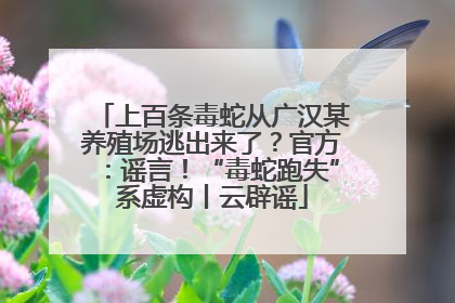 上百条毒蛇从广汉某养殖场逃出来了？官方：谣言！“毒蛇跑失”系虚构丨云辟谣