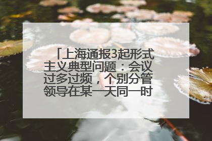 上海通报3起形式主义典型问题：会议过多过频，个别分管领导在某一天同一时段需参加3个会议