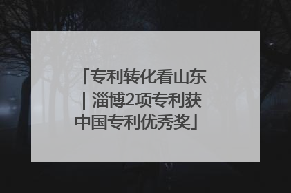专利转化看山东｜淄博2项专利获中国专利优秀奖