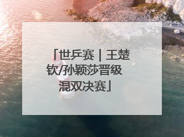 世乒赛｜王楚钦/孙颖莎晋级混双决赛