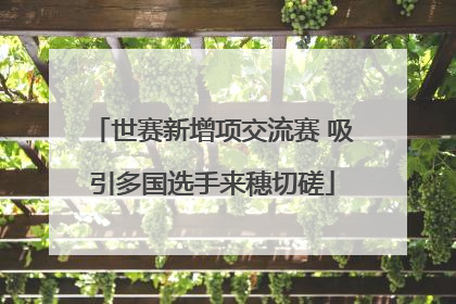 世赛新增项交流赛 吸引多国选手来穗切磋