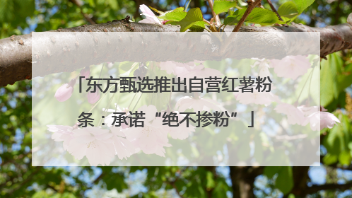 东方甄选推出自营红薯粉条：承诺“绝不掺粉”