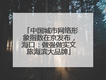 中国城市网络形象指数在京发布，海口：做强做实文旅海滨大品牌