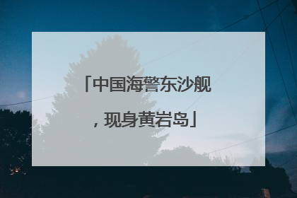 中国海警东沙舰，现身黄岩岛