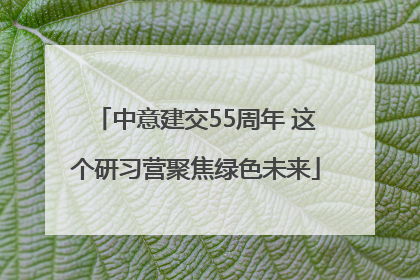 中意建交55周年 这个研习营聚焦绿色未来