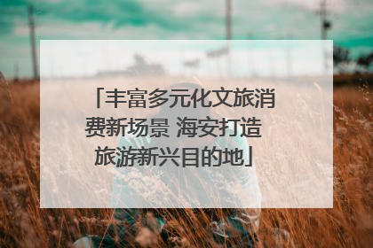 丰富多元化文旅消费新场景 海安打造旅游新兴目的地