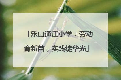 乐山通江小学：劳动育新苗，实践绽华光