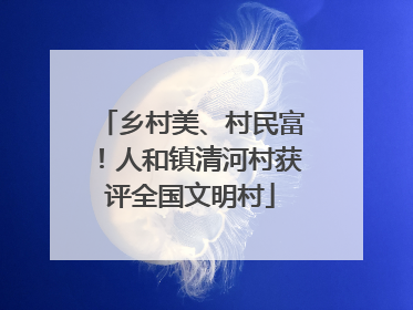 乡村美、村民富！人和镇清河村获评全国文明村